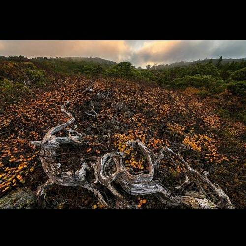  خسته شدم من ای خدا خسته از این زمونه کی میدونه توی دلم عشق کسی نمونده